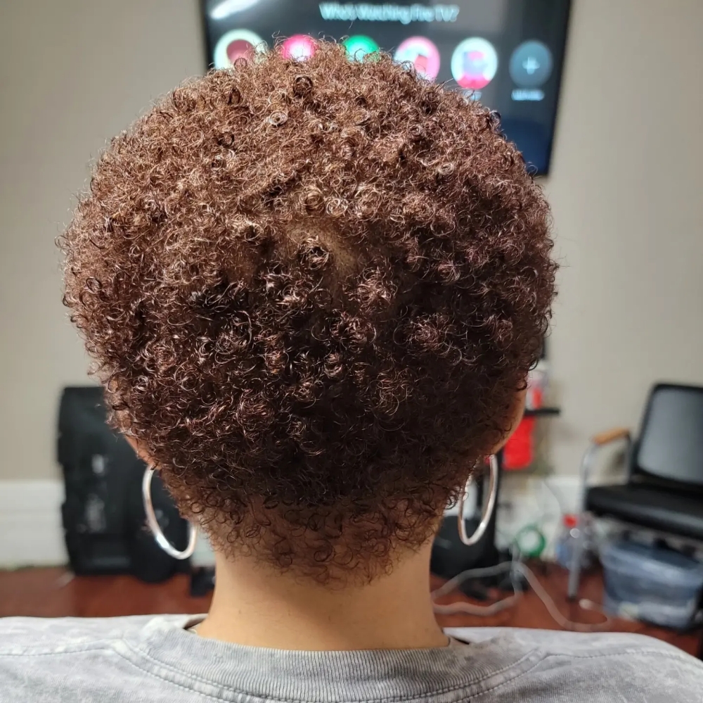 Women's Haircut