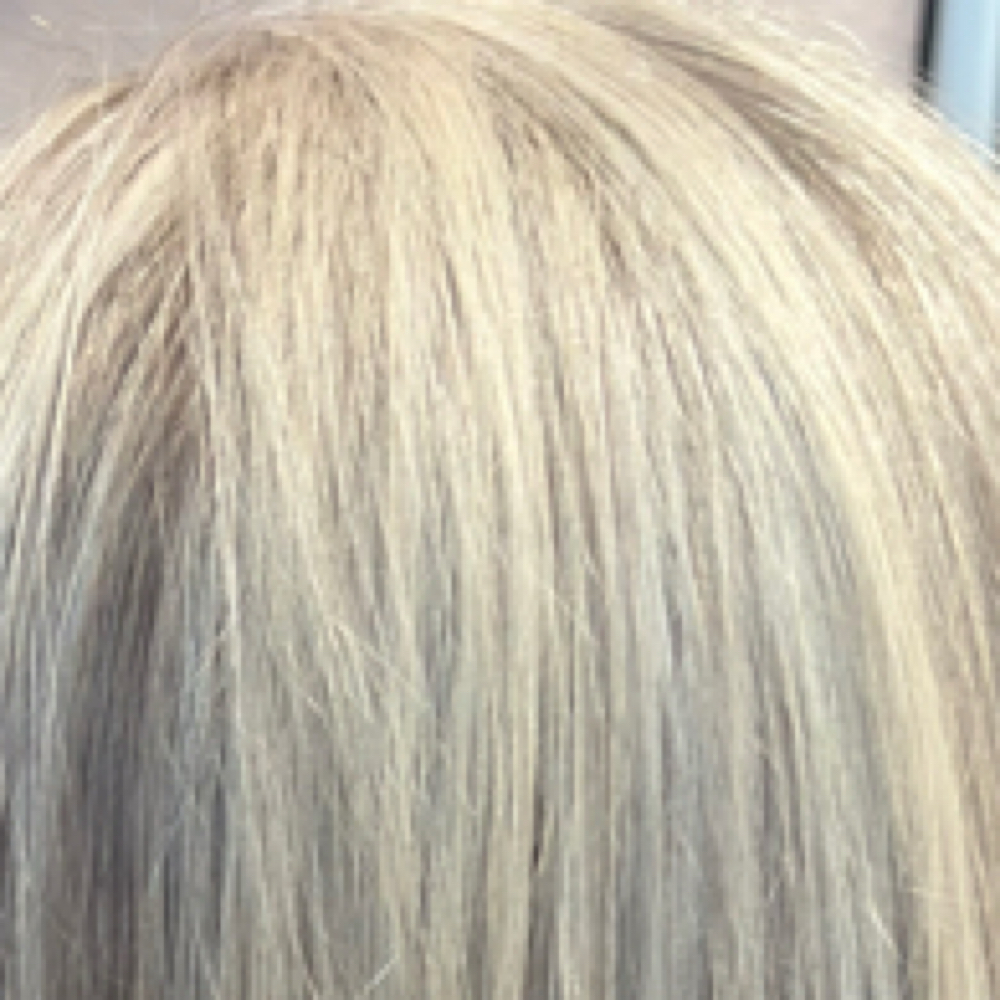 Bleach & Tone Retouch at Sunkissed & Styled by Miranda in Aiken, SC