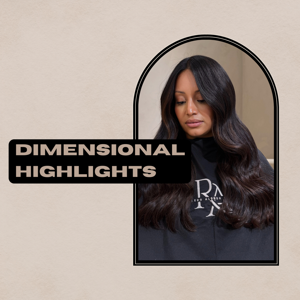 Dimensional Highlights