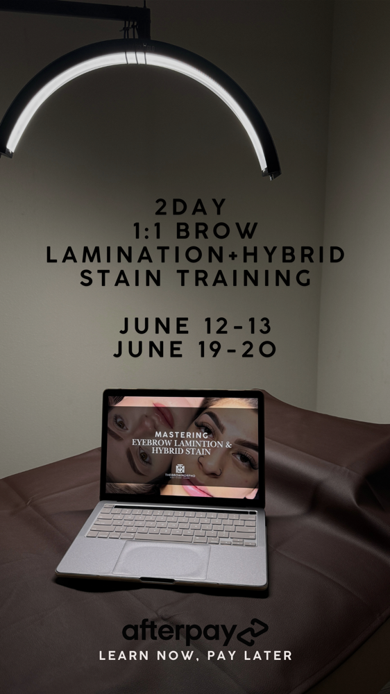 BrowLamination+HybridStain Training