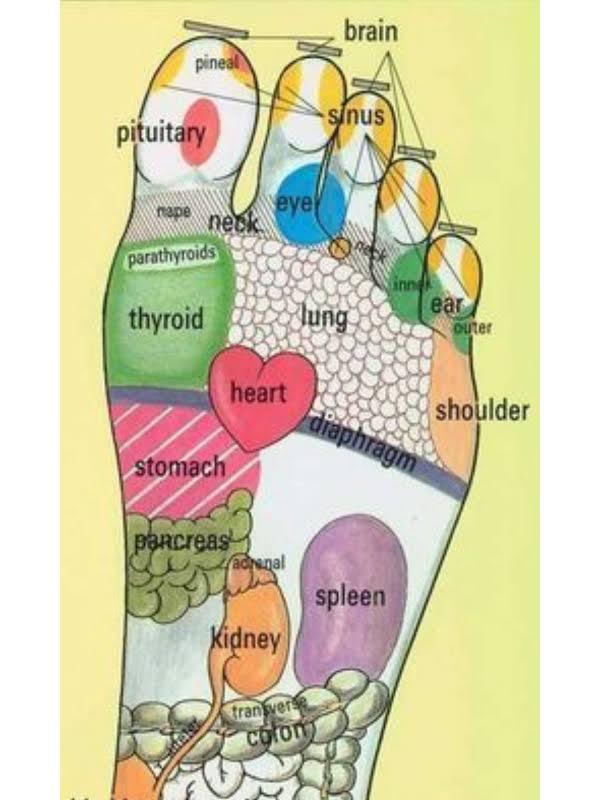 Reflexology