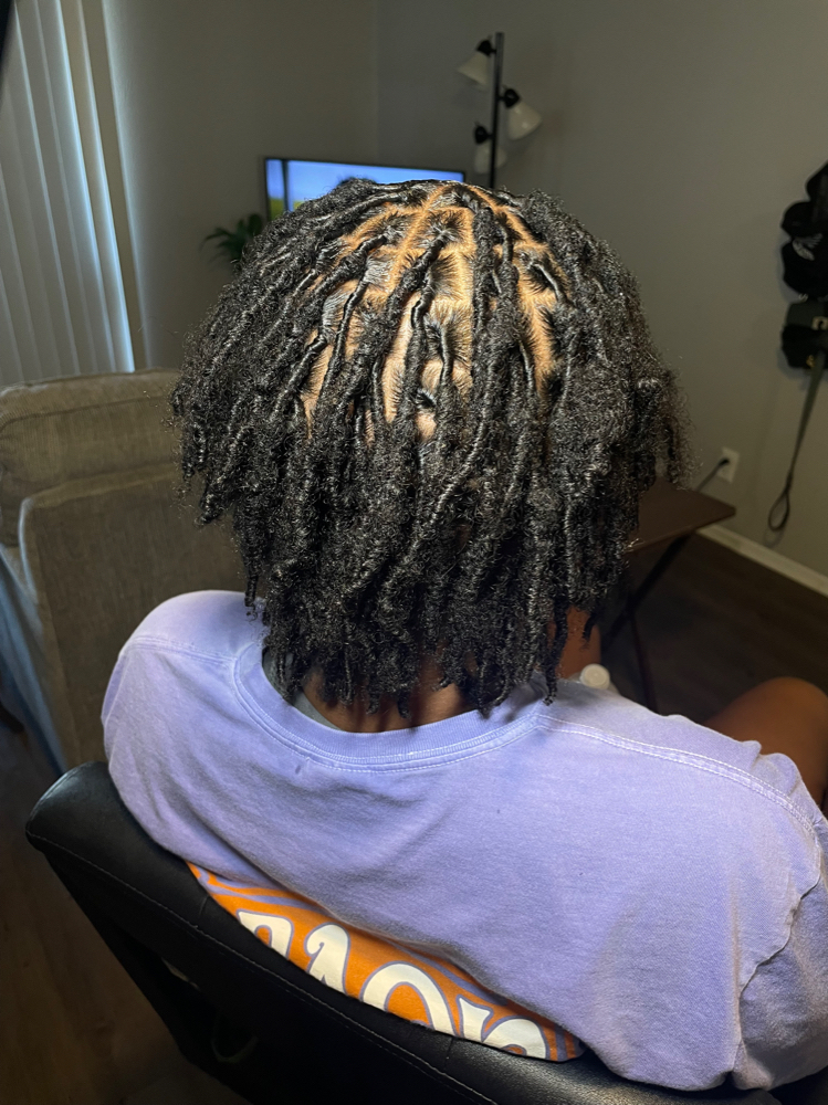 80 - 100 Loc Retwist