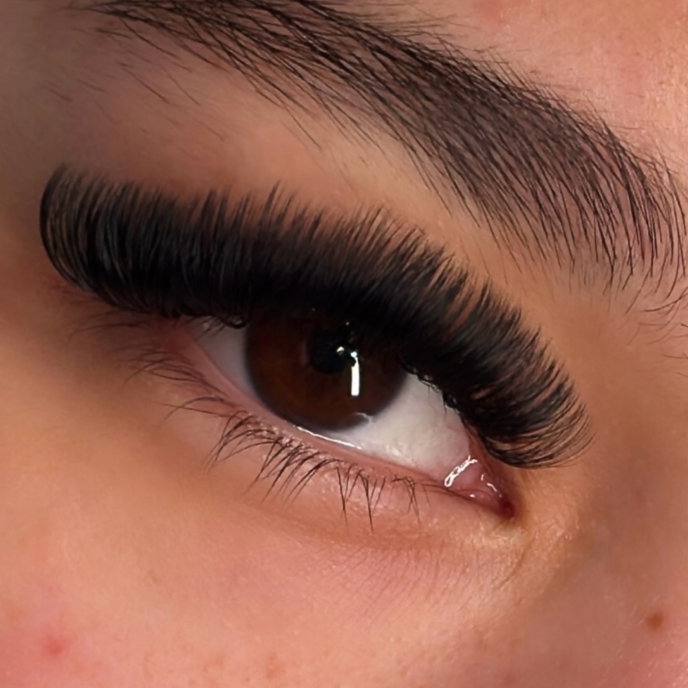 Volume Lash Extensions