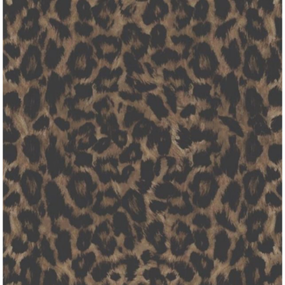 Color Correction at The Boggess Beauty Lounge in Gillette, WY