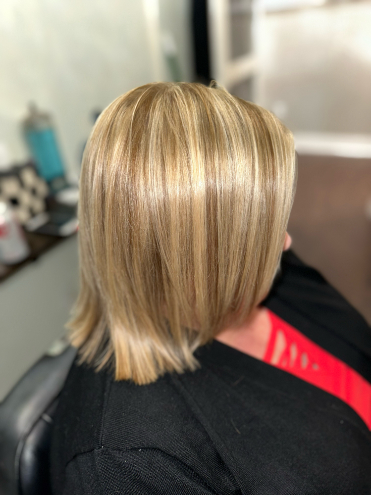 Partial HL w/ Root Touch Up and Cut