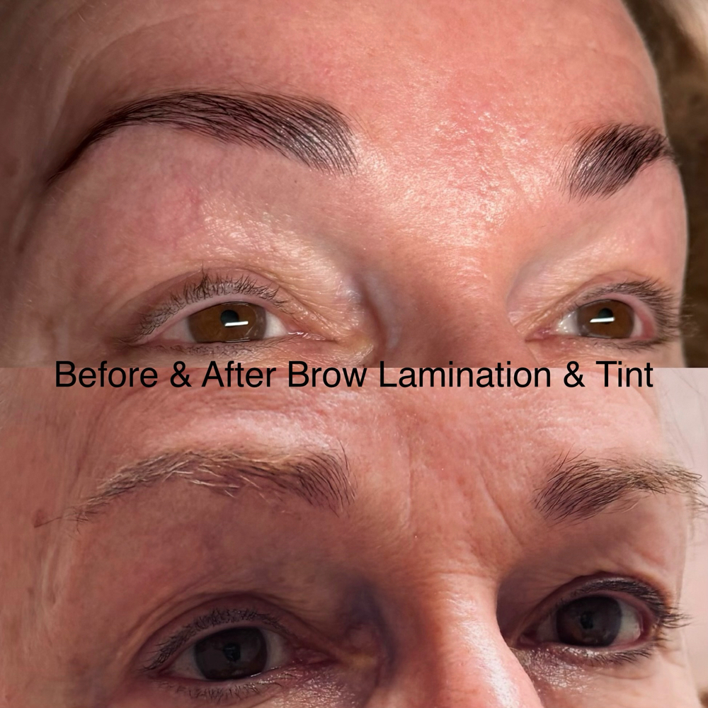 Brow Lamination + Tint at Everglow Esthetics in Brevard, NC