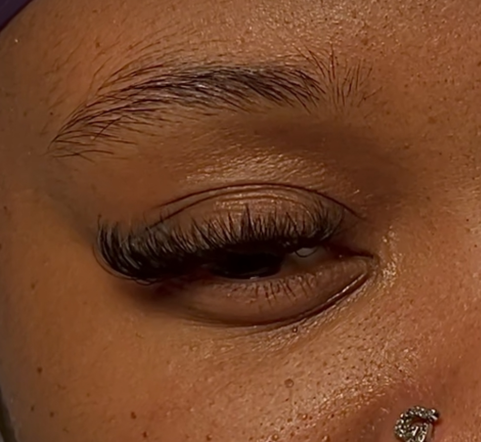 Soft Volume Lashes
