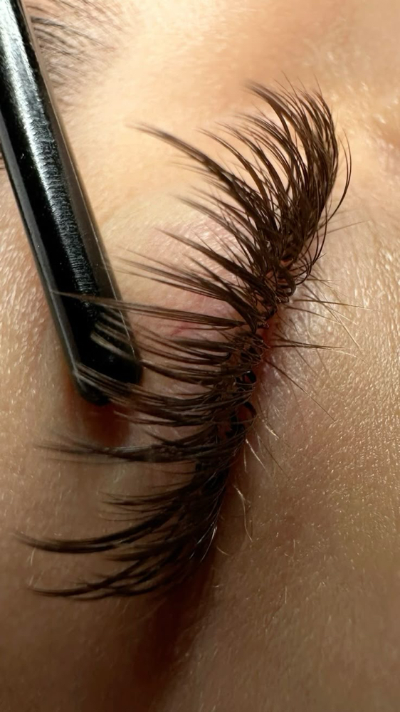 Lash Fill 14-19 days