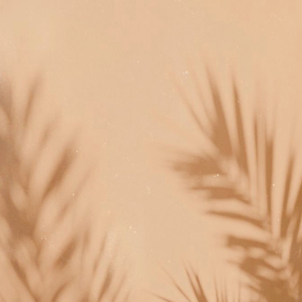 Additives at Rae Glow & Co | Luxury Spray Tanning in Athens, AL