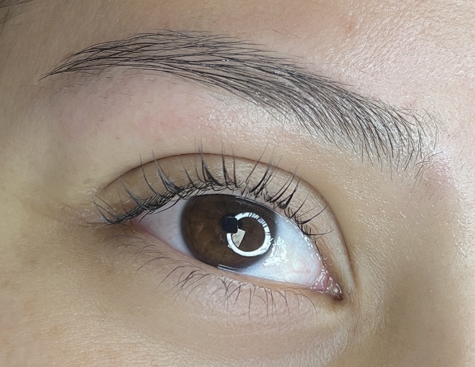 Lash Lift + Tint (Loyal Guest)