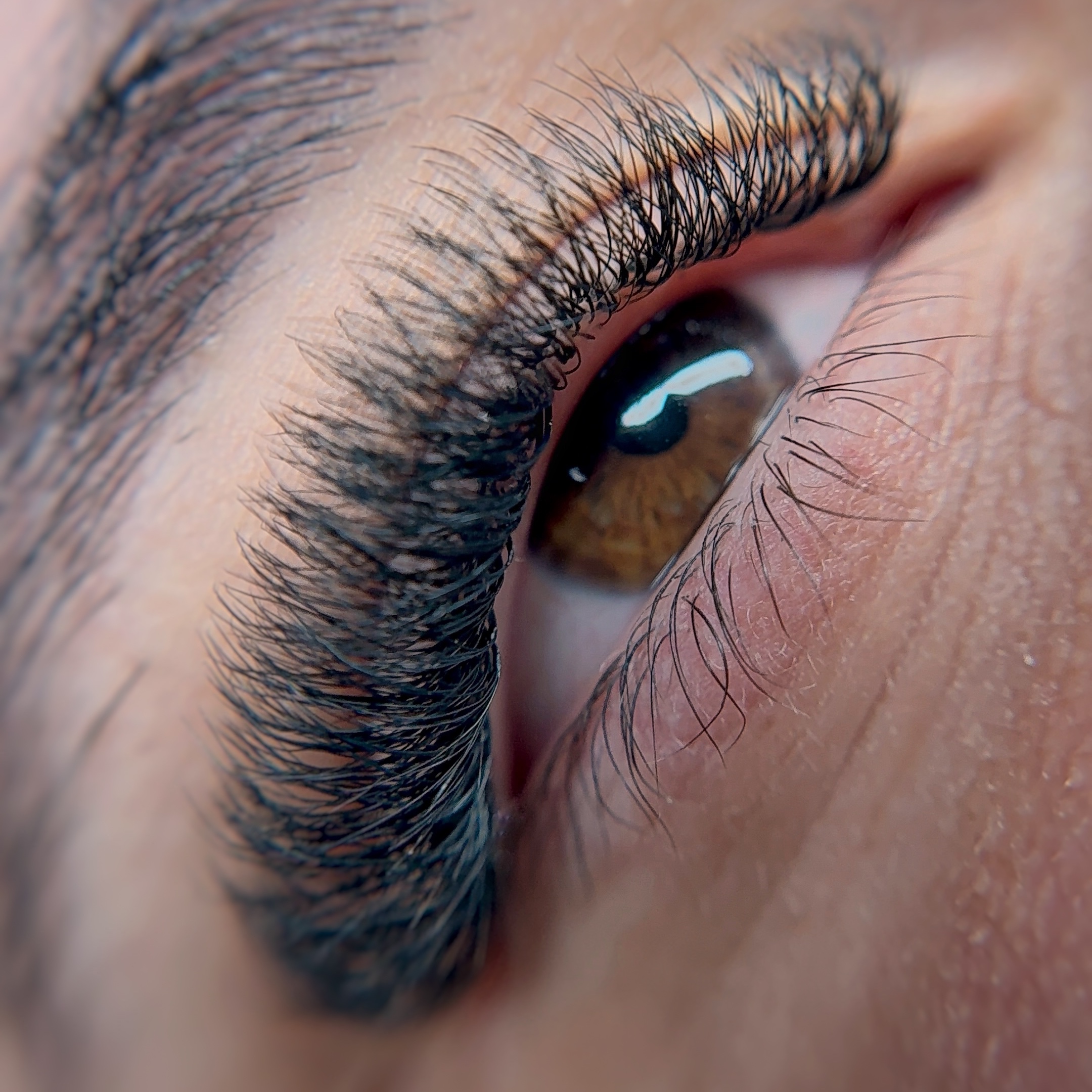 LASH HYBRID - FULL SET at ROSTRO PERFECTO in Hialeah, FL