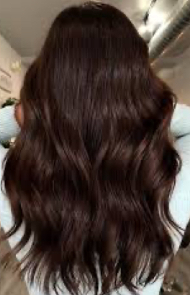 Solid Color + Haircut