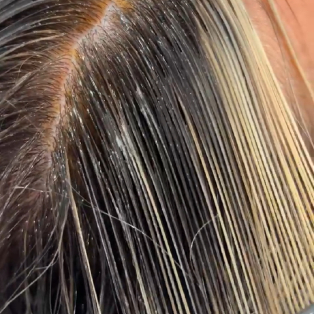 Shadow Root at Sólane by Shailee in Naples, FL