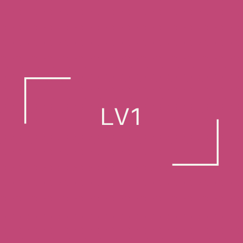 Accent Foil + Haircut (LV1)