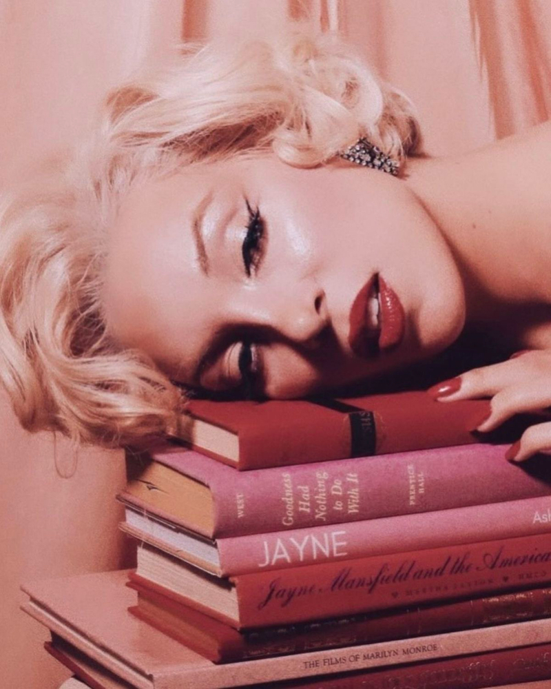 Consultation at Flyygirl braids and beauty in Longmont, CO