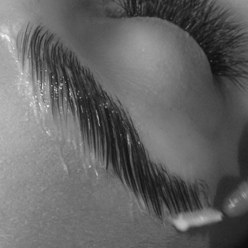 Brow Lam + Tint at L A S H | R X in Westport, MA