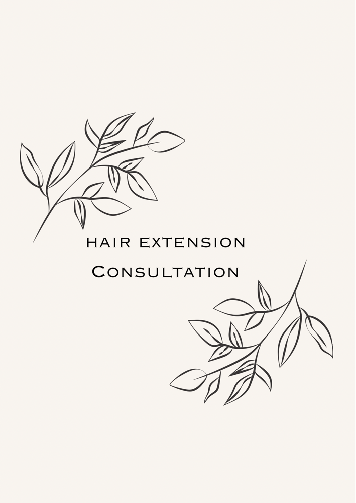 Hair Extension Consultation