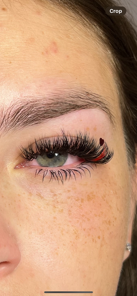 Add Bottom Lashes