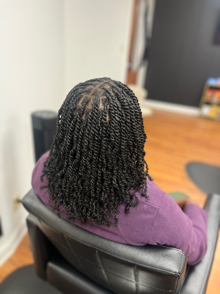 Mini Spring Twist
