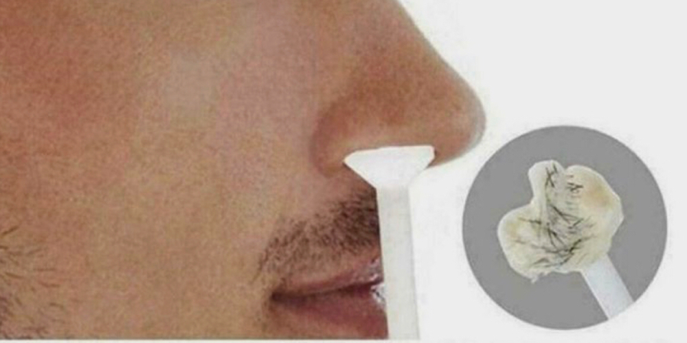 Nose