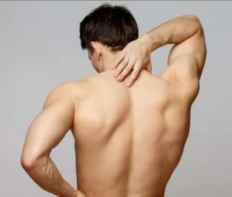 Half Back Wax (Upper or Lower