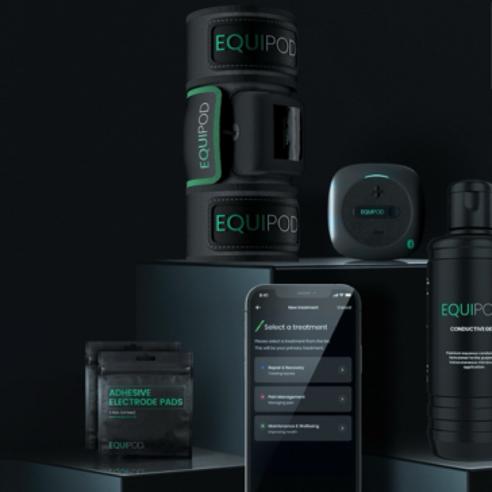 Equipod/massage Therapy at Lhranch in Avon Park, FL