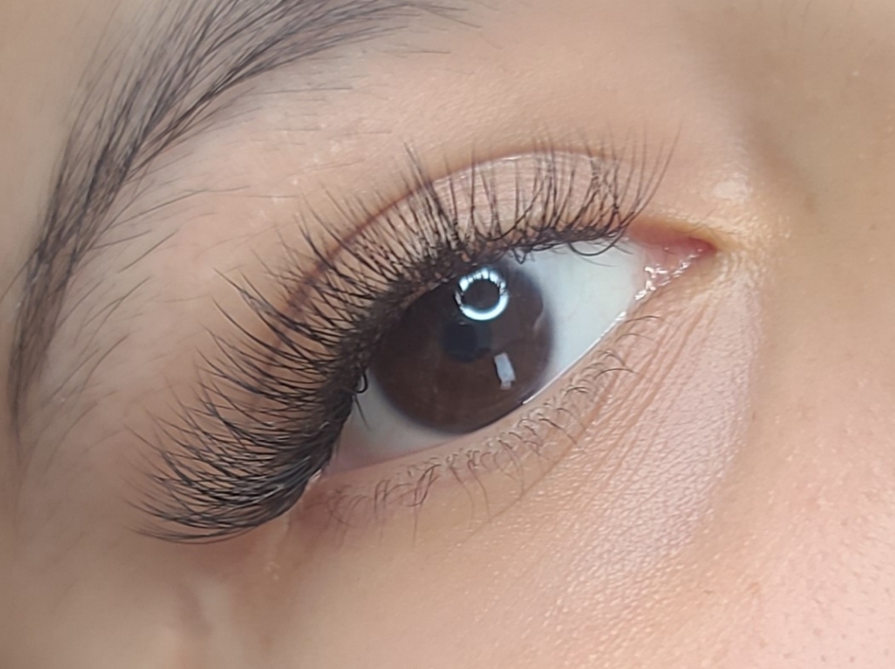 HYBRID SET