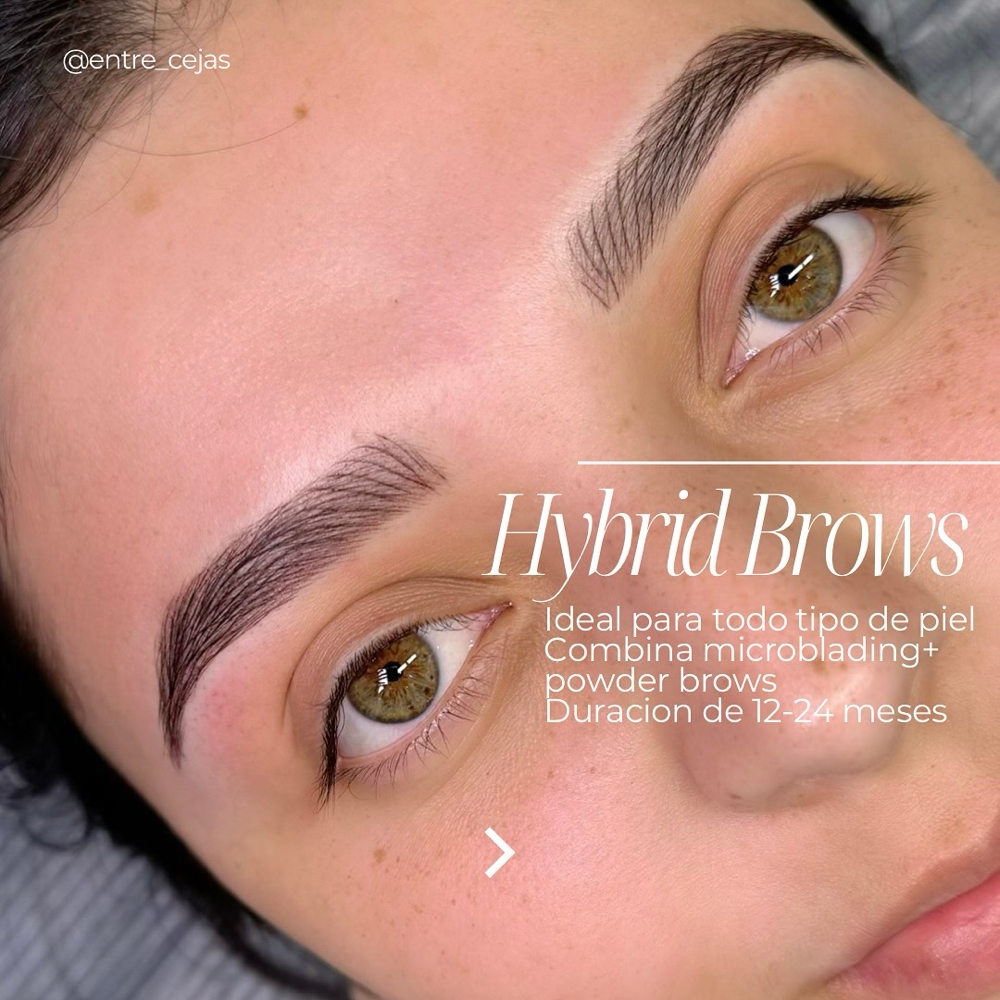 Hybrid Brows