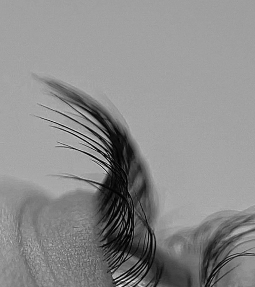 Lash Tint