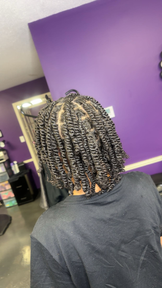 Two Strand Twist at Naturalist CP in Collierville, TN