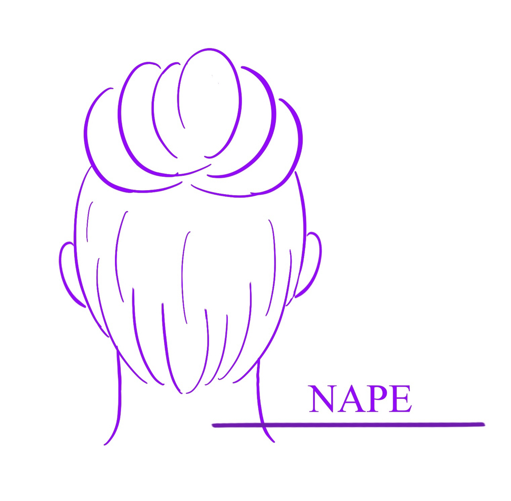 Neck (back)
