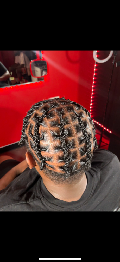 Medium Starter Locs