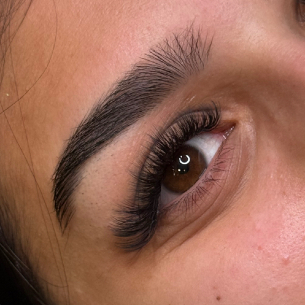 Hybrid Set at Desire Esthetics in Lodi, CA