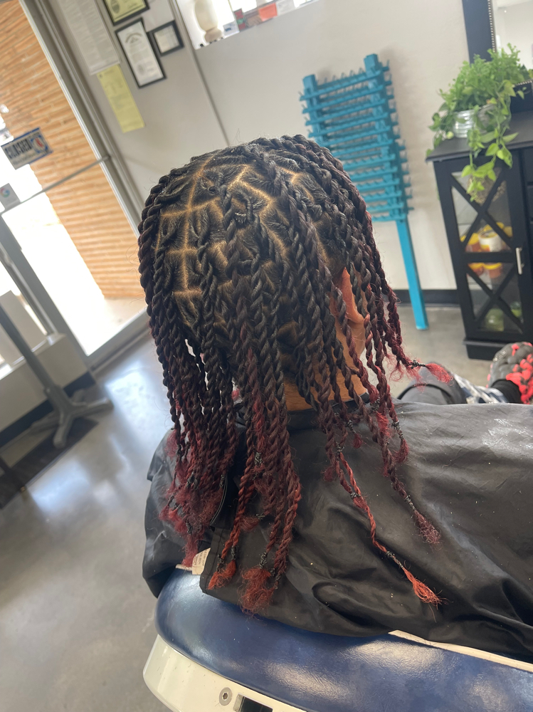 Two Strand Twist