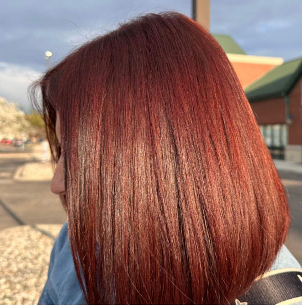 All Over Color With Brie at The Brick Method Salon in Farmington Hills, MI
