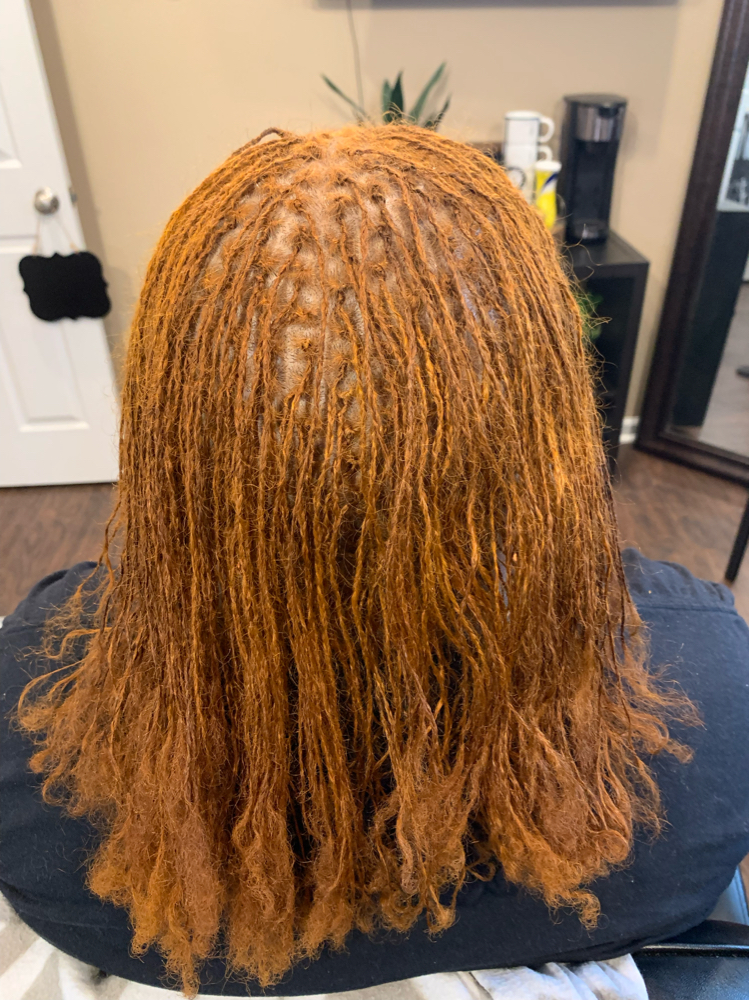 Microlocks Establishment