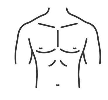 Chest & Abdomen