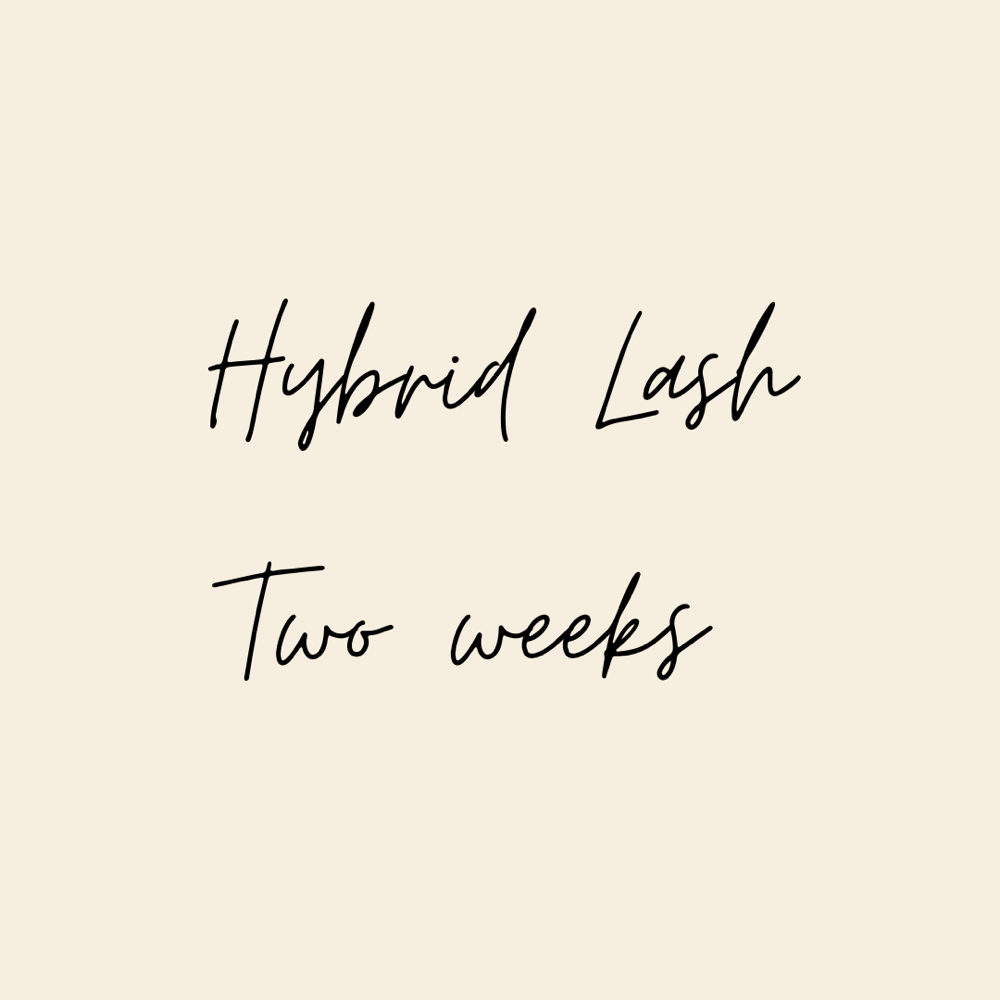 Hybrid Lash Fill - 2 Weeks