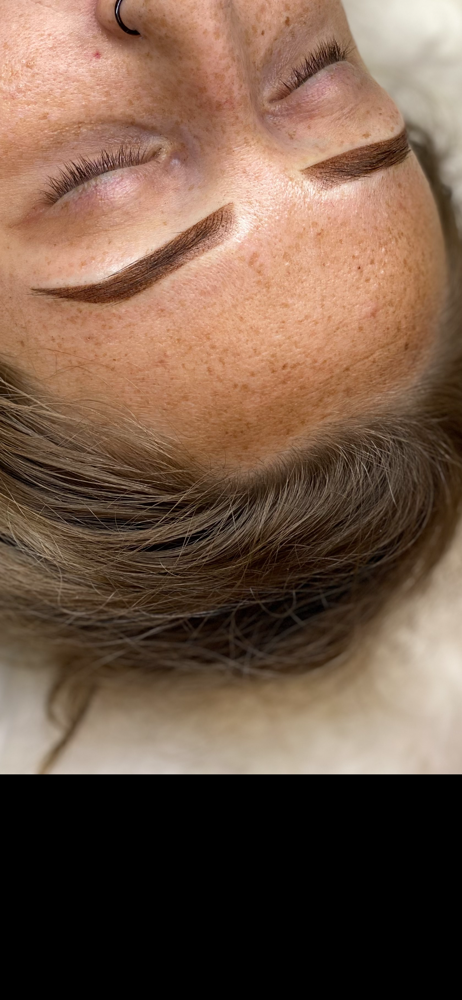 Ombre Brows 6 Week Touch-Up