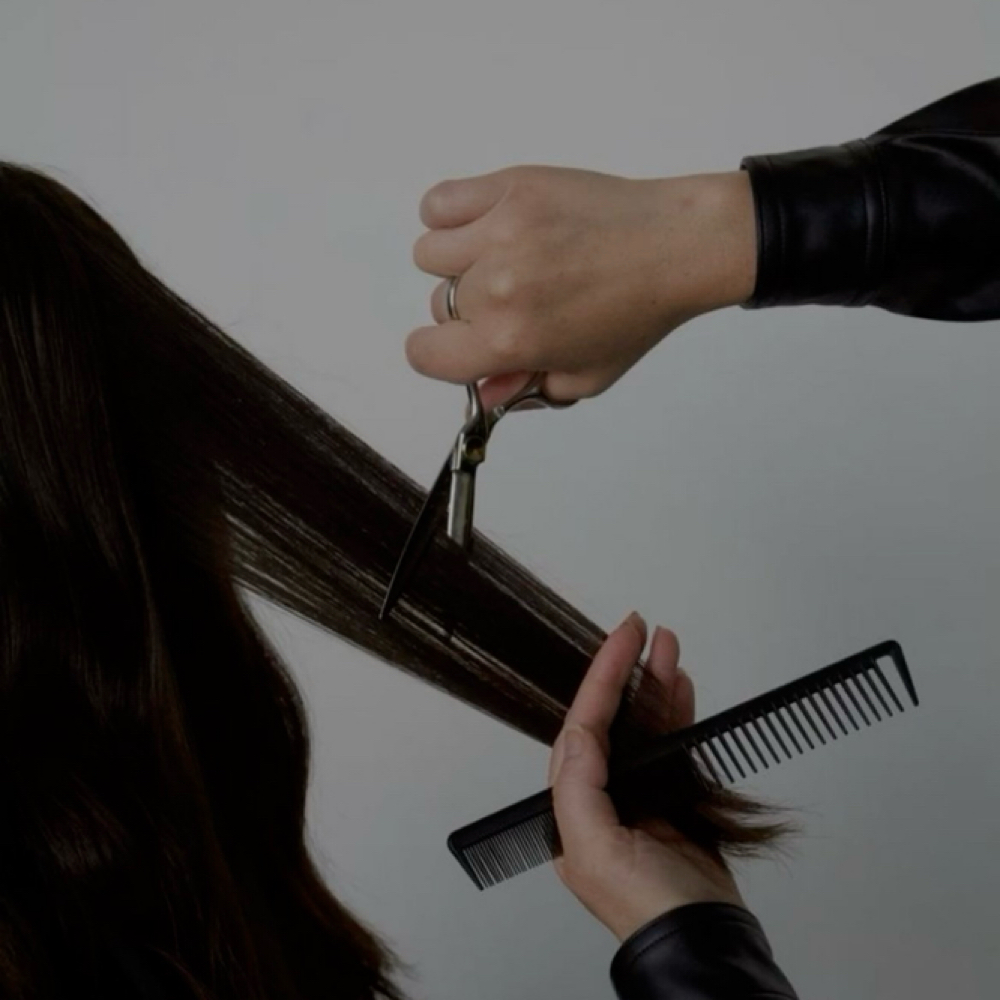 Women’s Haircut at Beauty by Bea in Wyoming, MI