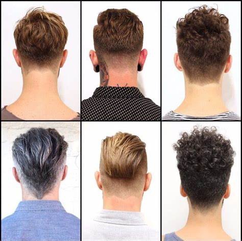 Neck Trim/ Shape up