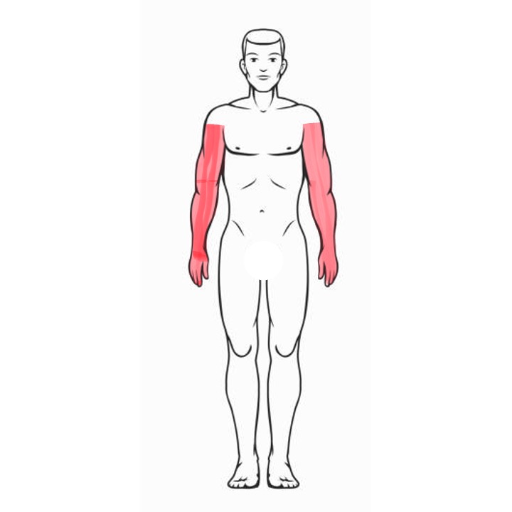 Full Arms