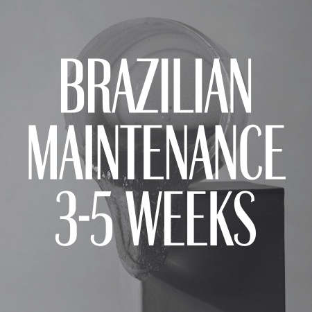 Brazilian Maintenance 3-5 Weeks