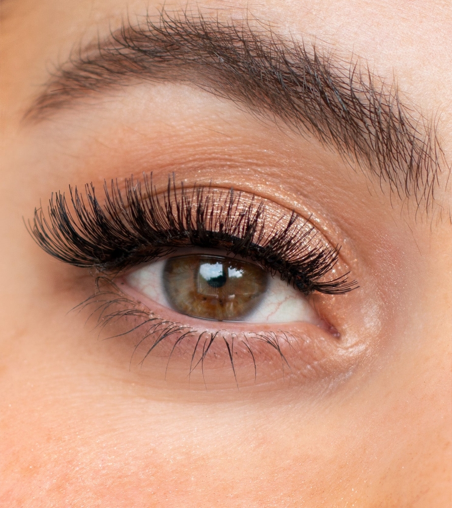 Lash Clusters