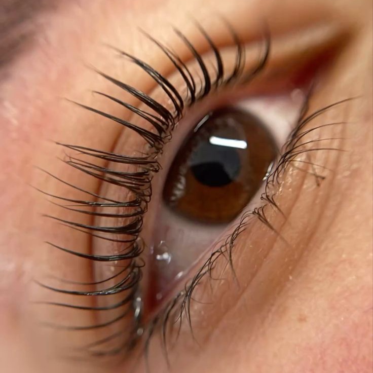 Lash tint at Bexuty by Kay in Folsom, CA