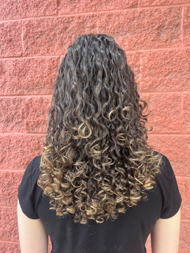 The Complete Curl Package (Sale!)