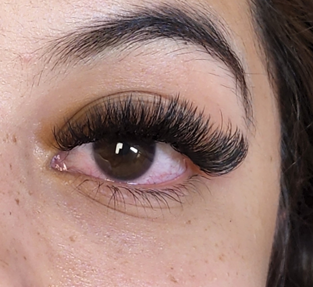 Volume Lash Extension - New Set