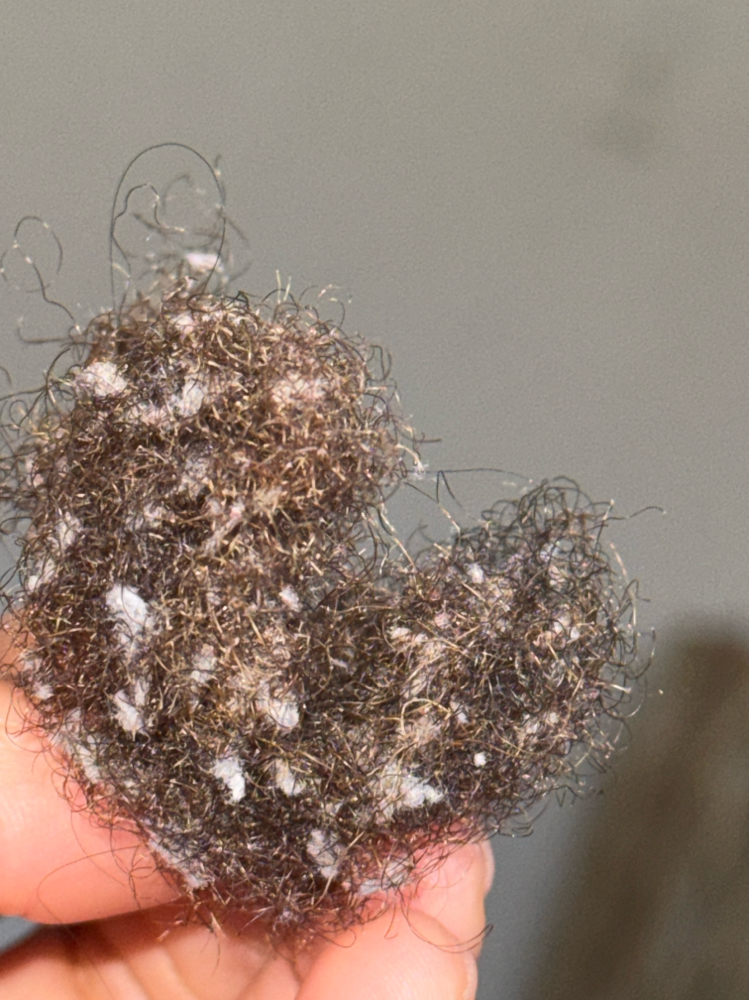 Lint Extraction