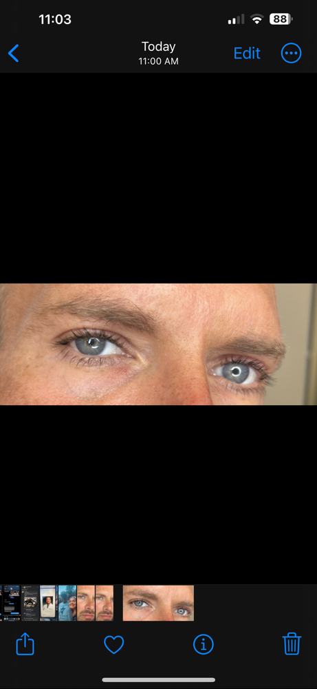 Lash Tint