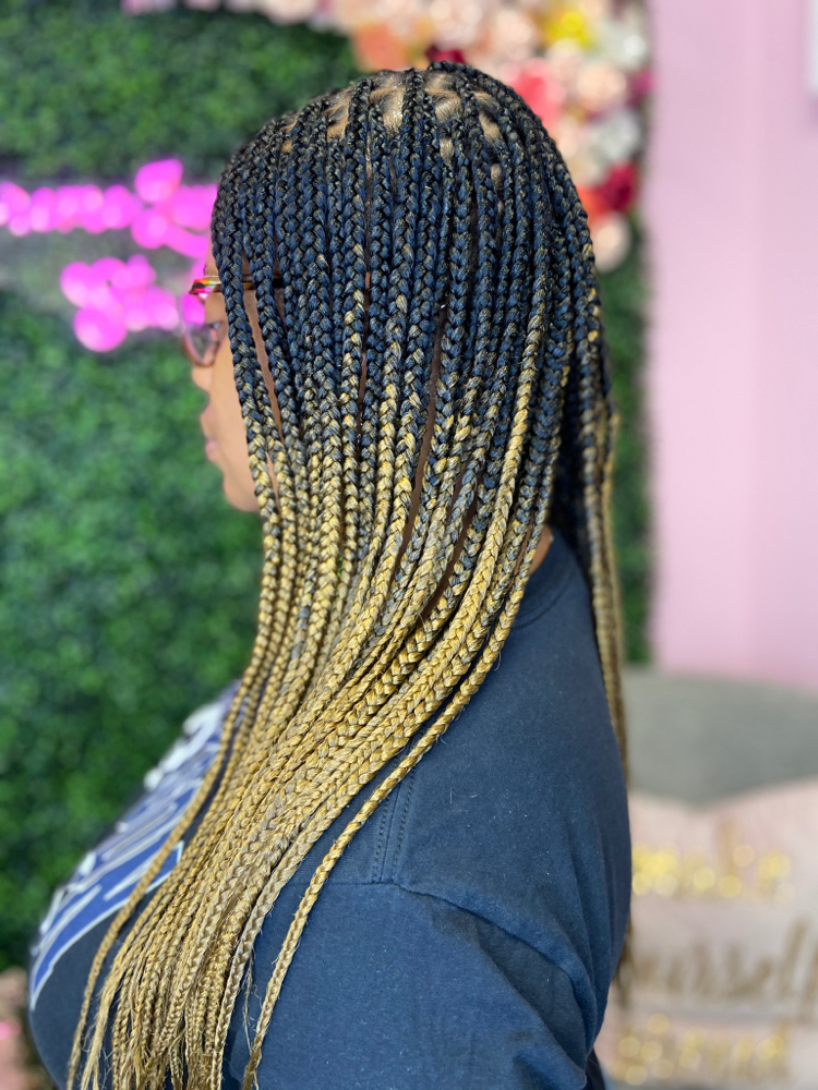 Ladies Knotless Braids (Up Top)